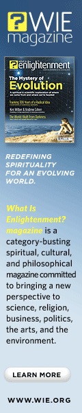 What is Enlightenment? Magazine