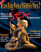 Issue 13 Cover